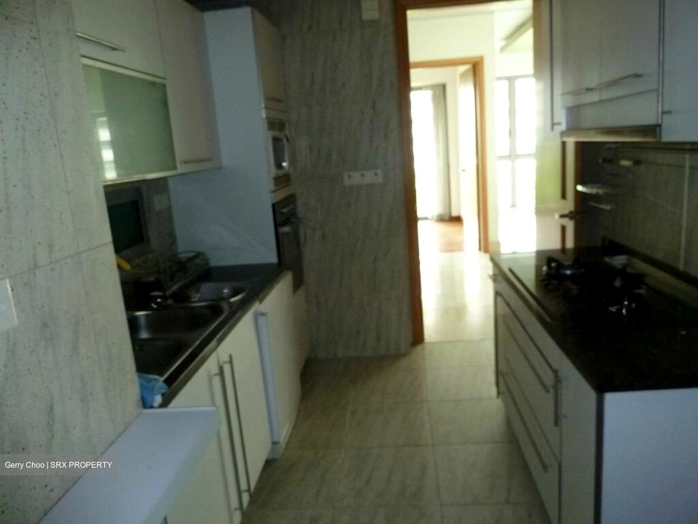 The Serenade @ Holland (D10), Condominium #520444561
